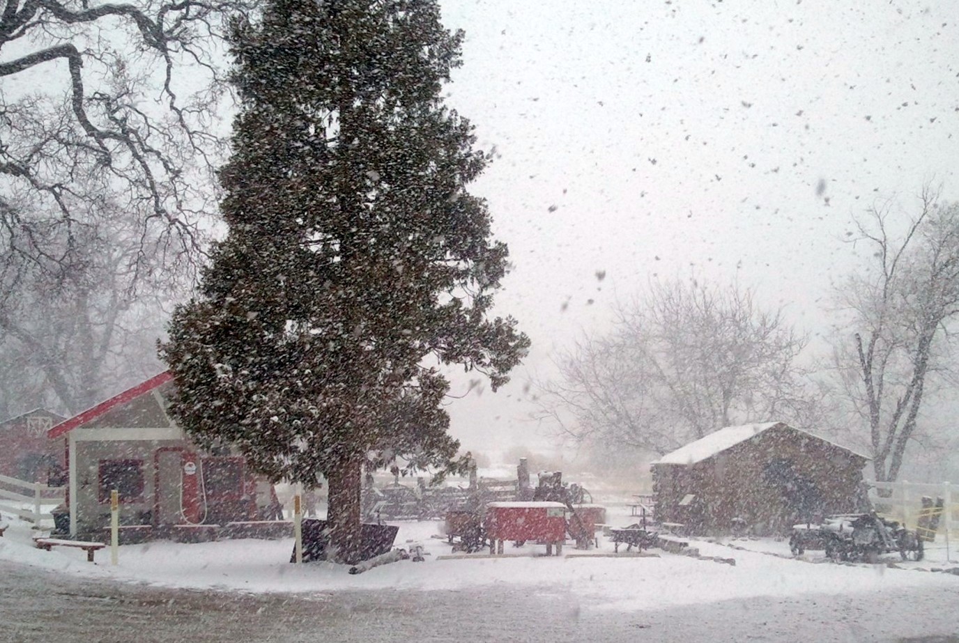 snow at museum feb.2013